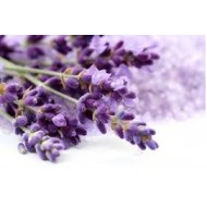 OLIO ESSENZIALE LAVANDA 100% PURO
