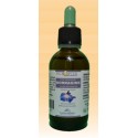 OLIO DI BORRAGINE